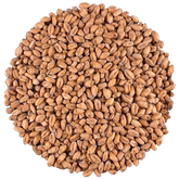 Wheat Malt | Light | IREKS